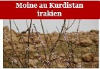 bloc Moine au Kurdistan irakien