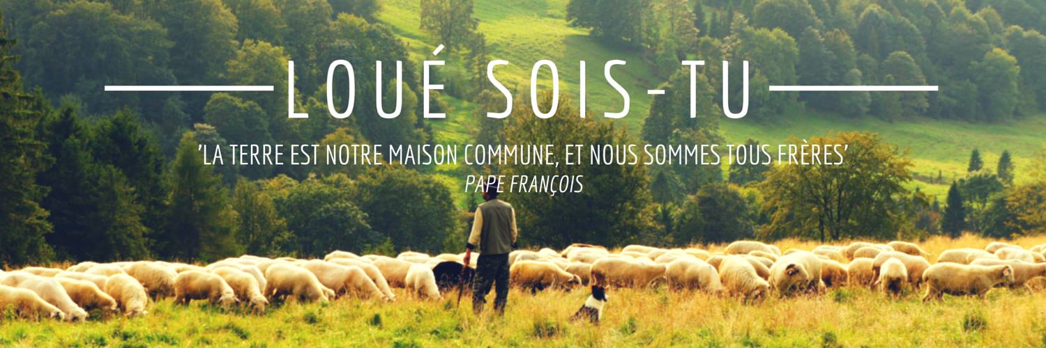 Une rentrée à la lumière de "Laudato Si" - Jeunes Cathos Blog Jeunes