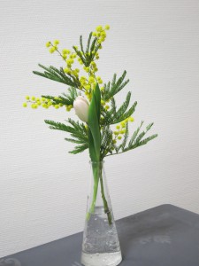 2016-03 fleurs